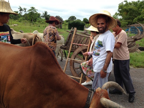 タイで牛車体験